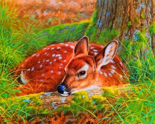 Female Deer paint by numbers