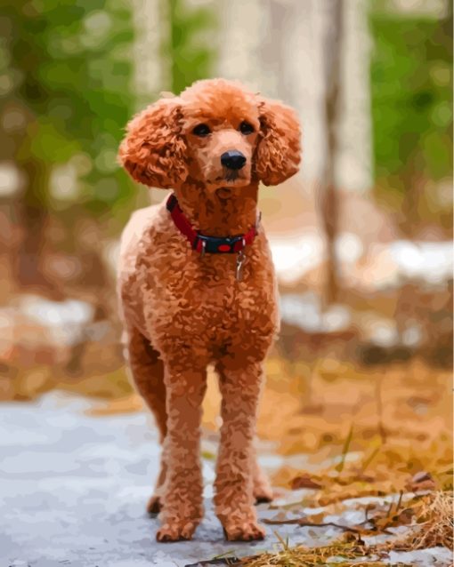 brown-poodle-paint-by-numbers