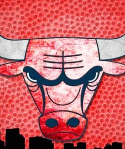 Chicago Bulls Logo Paint by numbers