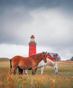 Denmark-Bovbjerg-Lighthouse-paint-by-number