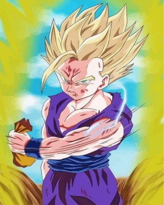 Gohan Dragon Ball Paint by numbers