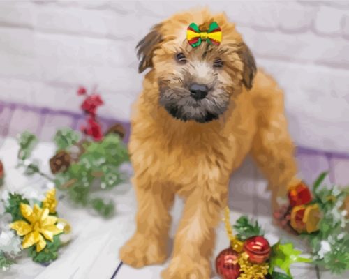 Soft Coated Wheaten Terrier Pet Paint by numbers