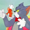 Tom And Jerry Paint by numbers