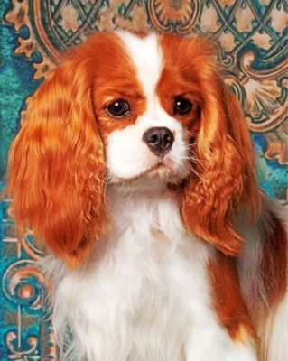 cavalier-king-charles-spaniel-paint-by-number