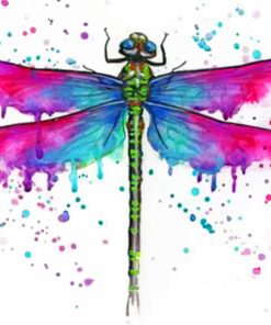 colorful-dragonfly-paint-by-numbers