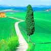 Country Road Tuscany Italy Paint by numbers