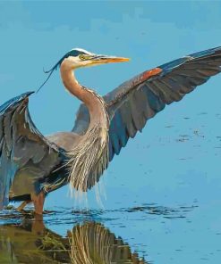 great-blue-heron-bird-paint-by-number