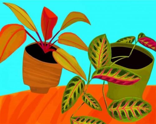 Philodendron Pot paint by numbers