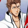 Captain Sosuke Aizen Paint By Numbers