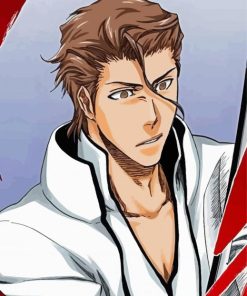 Captain Sosuke Aizen Paint By Numbers