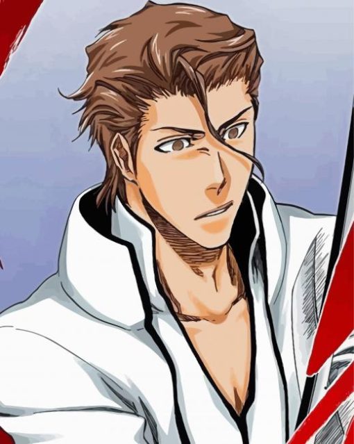 Captain Sosuke Aizen Paint By Numbers