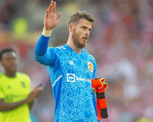 David De Gea Player Paint By Numbers