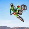 Motorcross Racer Eli Tomac Paint By Number