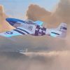 P51 Mustang Plane Art Paint By Number