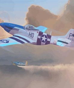 P51 Mustang Plane Art Paint By Number