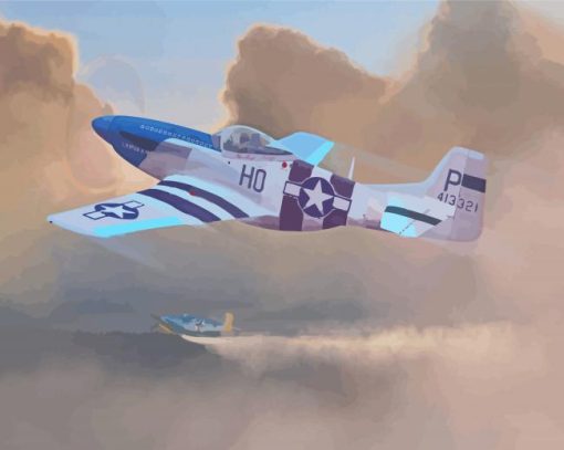 P51 Mustang Plane Art Paint By Number