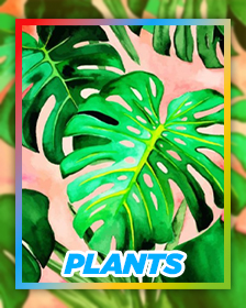 Plants