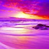 Purple Scene Beach Paint By Number