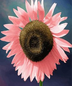 Big Pink Sunflower Paint By Numbers