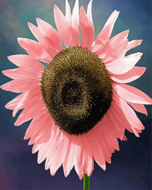 Big Pink Sunflower Paint By Numbers