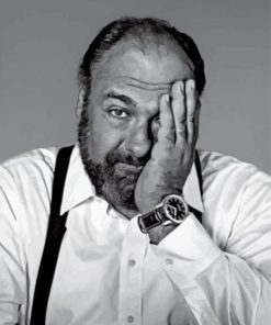 Black And White Actor James Gandolfini Paint By Numbers