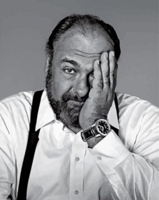 Black And White Actor James Gandolfini Paint By Numbers