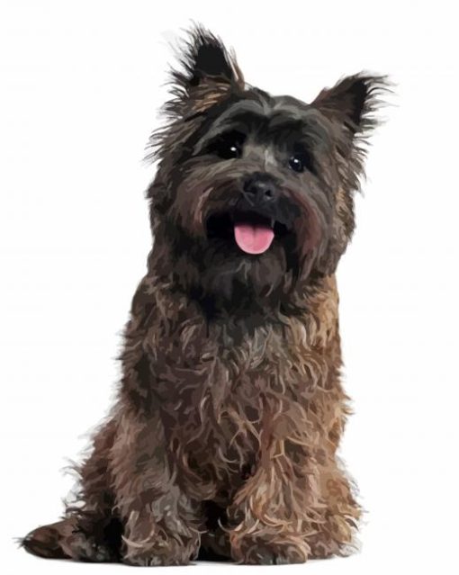 Black Cairn Terrier Paint By Numbers