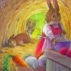 Cartoon Peter Rabbit Paint By Numbers