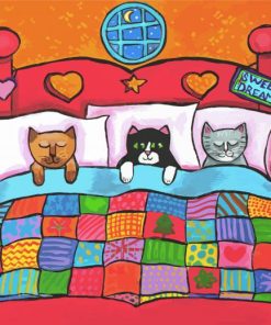 Cats Bed Paint By Numbers