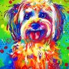 Colorful Shih Tzu Dog Art Paint By Numbers