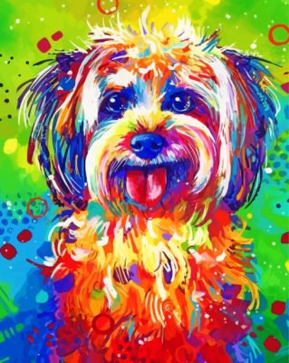 Colorful Shih Tzu Dog Art Paint By Numbers