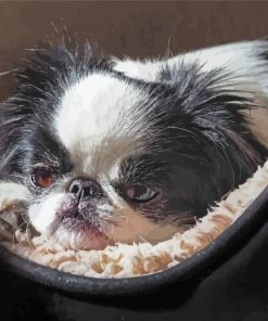 Cute Japanese Chin Paint By Numbers