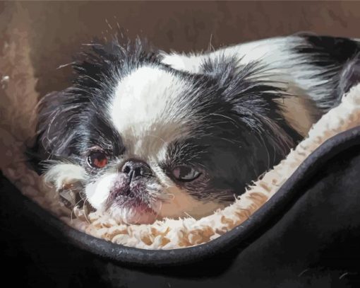 Cute Japanese Chin Paint By Numbers