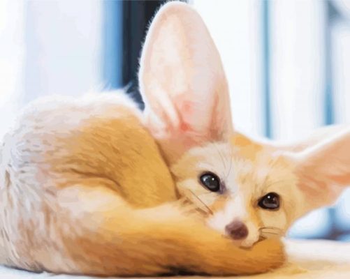 Fennec Fox Sitting Paint By Numbers