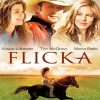 Flicka Movie Characters Paint By Numbers