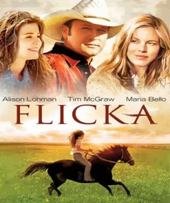 Flicka Movie Characters Paint By Numbers