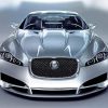 Grey Jaguar Xf Paint By Numbers