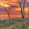 Kenya Lake Nakuru At Sunset Paint By Numbers