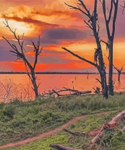 Kenya Lake Nakuru At Sunset Paint By Numbers