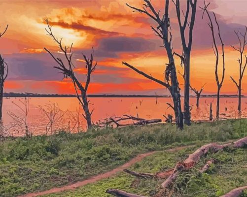 Kenya Lake Nakuru At Sunset Paint By Numbers