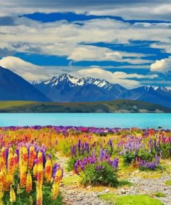 Lake Tekapo In New Zealand Paint By Numbers