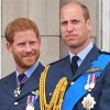 Prince William And Harry Paint By Numbers