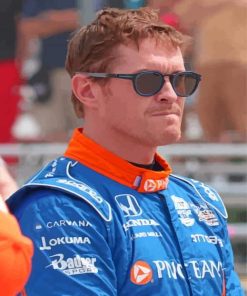 Race Car Driver Scott Dixon Paint By Numbers