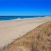 Sandy Neck Beach Massachusetts Paint By Numbers