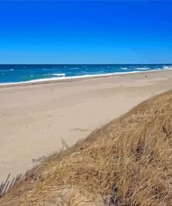 Sandy Neck Beach Massachusetts Paint By Numbers