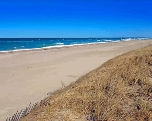 Sandy Neck Beach Massachusetts Paint By Numbers