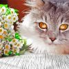 Siberian Cat With Flowers Paint By Numbers