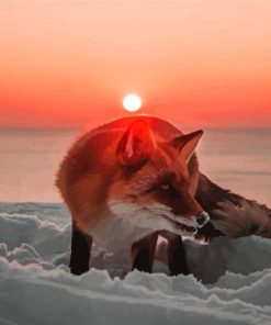 Snow Fox At Sunset Paint By Numbers