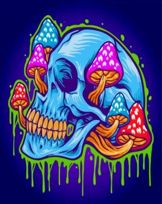 Splatter Mushroom Skull Paint By Numbers