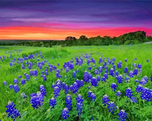 Sunset At Texas Bluebonnets Field Paint By Numbers